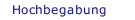 Hochbegabung